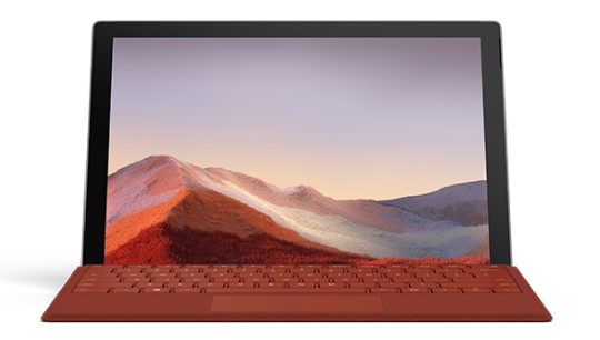 隆子清洁和维护 Surface